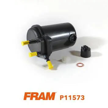 P11573 