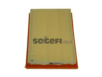 CA4309 Фильтр воздушный