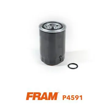 P4591 