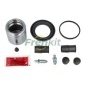 FRENKIT 254946