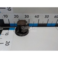 Насос гидроусилителя Renault Terrano III (D10) (2014 - ) 491105510R