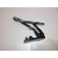 Петля крышки багажника Mitsubishi Lancer (CX,CY) (2007 - ) 5923A013