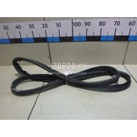 Уплотнитель двери Renault Megane II (2003 - 2009) 8200077500