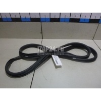 Уплотнитель двери Renault Megane II (2003 - 2009) 8200077500