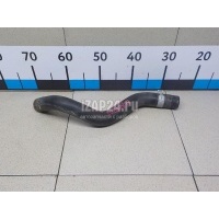 Патрубок радиатора Honda Civic 5D (2006 - 2012) 19502RSAG00