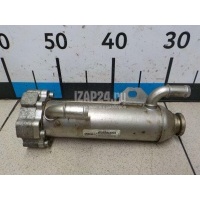 Радиатор системы EGR Volvo C30 (2006 - 2013) 8699208