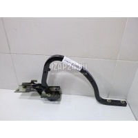 Петля крышки багажника Renault Fluence (2010 - 2017) 844017970R