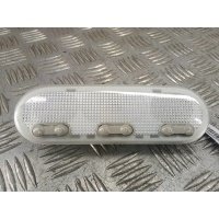 Плафон салона Renault Scenic 2 (2003-2009) 2006 8200073234