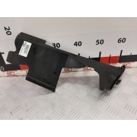 Защита радиатора Renault Megane 3 (2008-2013) 2010 214990018R
