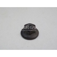 Гайка Renault Duster (2012 - ) 7703633008