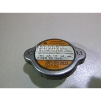 Крышка радиатора Hyundai-Kia Tucson (2004 - 2010) 253302E001