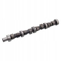 распределительный вал febi bilstein 19246 6518306