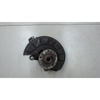 Ступица (кулак, цапфа) перед. левая Volkswagen Golf Plus 2007 1T0498621