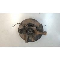 Ступица (кулак, цапфа) перед. левая Nissan Pathfinder 1996-2005 2002 3851273P00