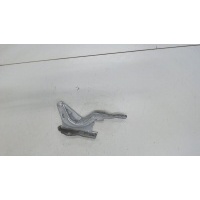 Петля капота левая Hyundai Santa Fe 2005-2012 2011 791102B000