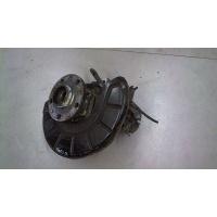 Ступица (кулак, цапфа) перед. левая Volkswagen Passat 6 2005-2010 2005 1T0498621