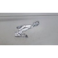 Петля крышки багажника левая Mitsubishi Lancer 10 2007-2010 2010