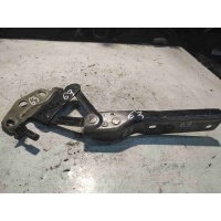 Петля капота Volkswagen Passat 2010 3c0823301d