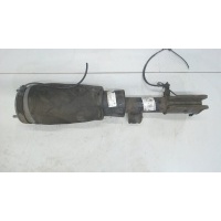 Амортизатор подвески, перед. левая Land Rover Range Rover 3 (LM) 2002-2012 2004 RNB000750