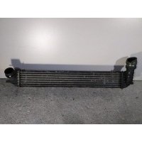 Интеркулер Renault Laguna 3 поколение (2007-2011) 2007 144610001N