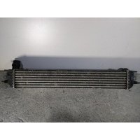 Интеркулер Renault Laguna 3 поколение (2007-2011) 2010 144610001N