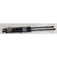 Амортизатор крышки (двери) багажника Renault Modus 2006 8200461349