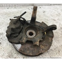 Кулак (корпус ступицы) передний правый Hyundai Tucson 2006 517162E100