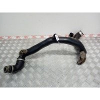 Патрубок интеркулера Skoda Octavia 1Z (2004-2013) 2008 3C0145828C