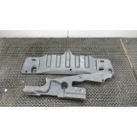 Защита моторного отсека (картера ДВС) Volkswagen Passat 7 2010-2015 2011
