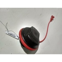 Пробка бака Opel Insignia 2010 13294625