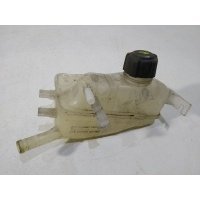 Бачок расширительный Renault Scenic 3 поколение (2009-2012) 2011 217100005R