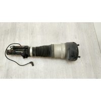Пневмостойка передняя Mercedes S W221 2008 A2213204913