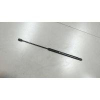 Амортизатор крышки багажника Ford Focus 1 1998-2004 1999 1093705