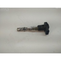 Катушка зажигания Volkswagen Passat B5+ (GP) 2002 06B905115L