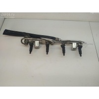 Рампа (рейка) топливная Volkswagen Passat B5+ (GP) 2002 058133681