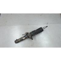 Амортизатор подвески перед. Volkswagen Golf Plus 2007 1T0413031HM