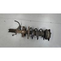 Амортизатор подвески перед. Renault Modus 2007 8200675732