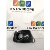 РАМКА ПТФ Mitsubishi L200 8321A254