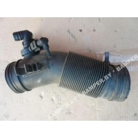 Патрубок (трубопровод, шланг) Volkswagen Beetle 2001 1C0129684P