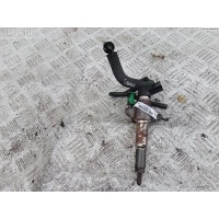 Форсунка топливная Peugeot 308 2013 9802448680