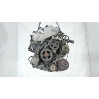 Насос гидроусилителя руля (ГУР), Nissan Primera P12 2002-2007 2004 491105M321