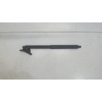 Амортизатор крышки багажника, левая=правая BMW X5 E70 2007-2013 2008 51247294199
