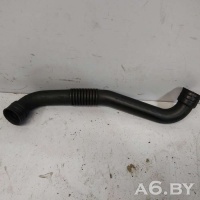 Маслоотделитель (сапун) Volkswagen Passat B5 2001 038103493D