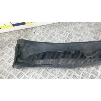Накладка декоративная (жабо, дождевик) RENAULT MEGANE (2008-0000) 2011 668110003R