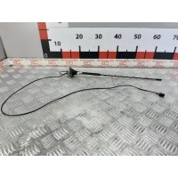 Антенна Renault Scenic 2 (2003-2009) 2003 8200282249