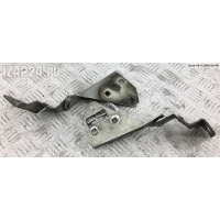 Петля капота правая Renault Megane II (2002-2008) 2002 8200011075