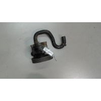 Насос гидроусилителя руля (ГУР), Renault Megane 1996-2002 1999 491106541R