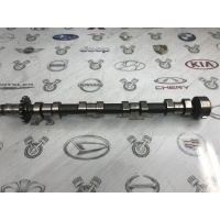 Распредвал Land Rover Freelander 2 2008 LR021914