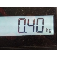 Замок крышки багажника Renault Laguna 3 (2007-2010) 2008 905420001R