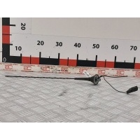 Антенна Renault Scenic 2 (2003-2009) 2003 8200282249
